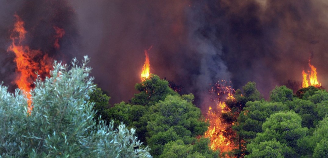Σε εξέλιξη πυρκαγιά στην Αλεξανδρούπολη -Υπό έλεχο φωτιά στη Βουρβουρού