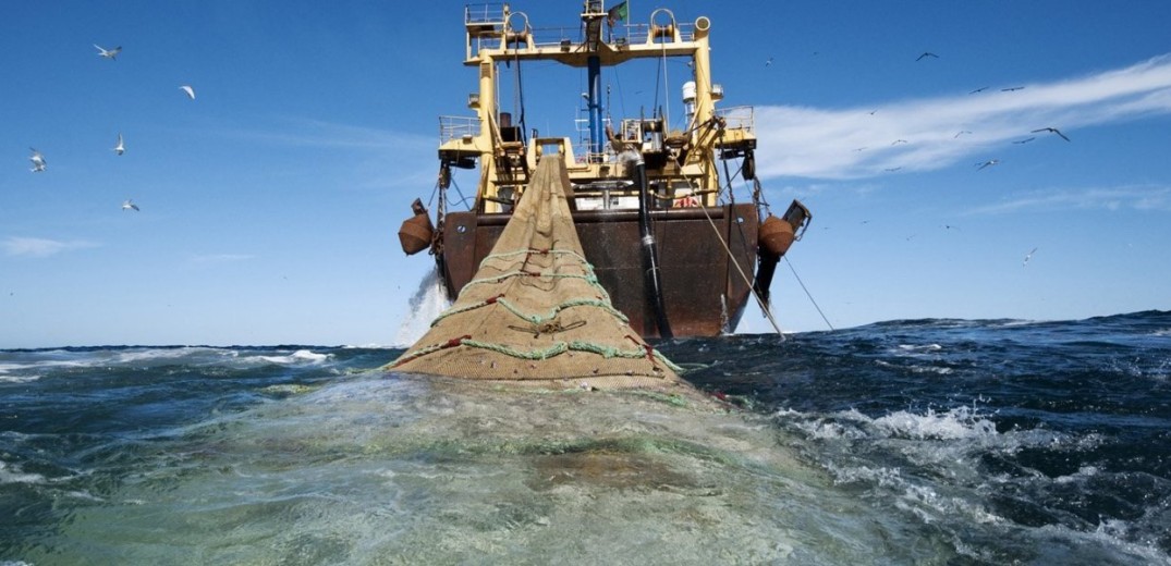 Έρχεται σεμινάριο για αλιείς και φορείς για την προστασία θαλάσσιων ειδών 
