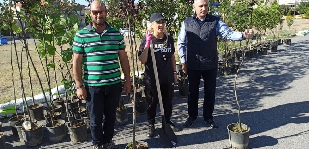 Ωραιόκαστρο: Μικροί και μεγάλοι πρασίνισαν τα «Αλώνια» φυτεύοντας δέντρα 