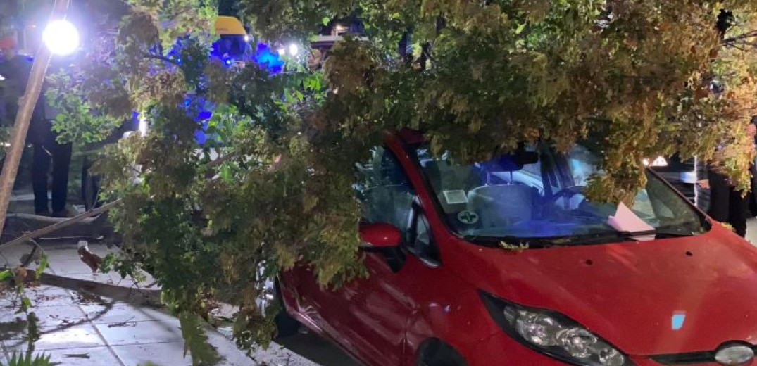 Θεσσαλονίκη: Δέντρο πλάκωσε σταθμευμένα αυτοκίνητα 