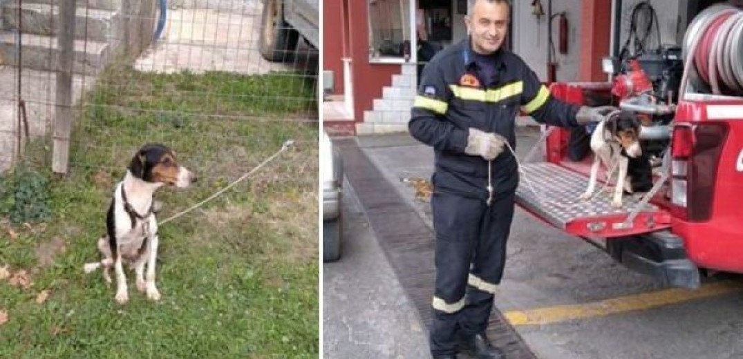 Κοζάνη: Διάσωση σκύλου που έπεσε σε πηγάδι βάθους 20 μέτρων – Αναζητείται ο ιδιοκτήτης