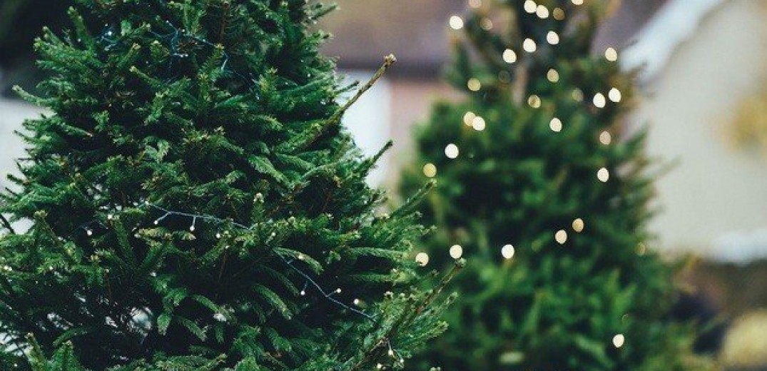 Χωρίς χριστουγεννιάτικες εκδηλώσεις η Χαλκιδική λόγω πανδημίας