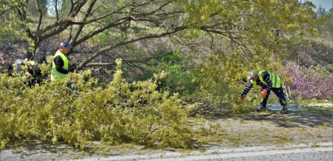Διακόπηκε η κυκλοφορία για 2 ώρες σε επαρχιακό δρόμο της Χαλκιδικής λόγω πτώσης δέντρου
