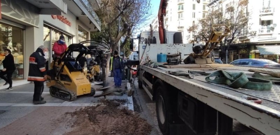«Μένουμε Θεσσαλονίκη»: Να μην ξανακάνουμε το ίδιο λάθος με τα δέντρα της Τσιμισκή και της Σβώλου