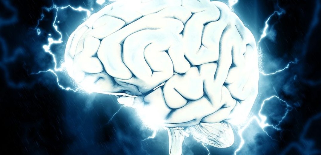 Φως στην «απίστευτη» λειτουργία του εγκεφάλου ρίχνουν δύο Έλληνες επιστήμονες 