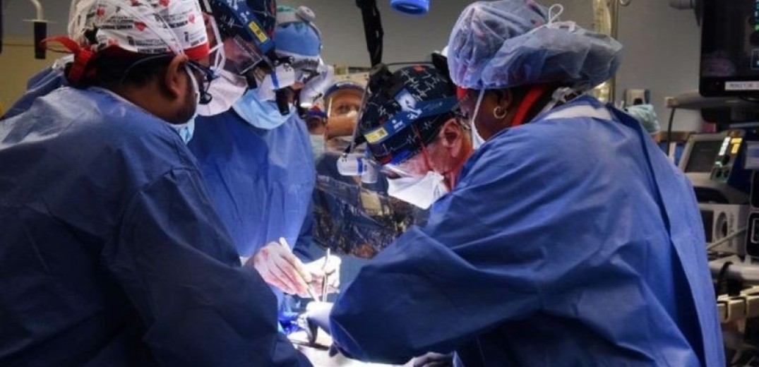 Νέα εποχή στην Ιατρική: Η πρώτη στον κόσμο μεταμόσχευση καρδιάς από γενετικά τροποποιημένο χοίρο έγινε σε 57χρονο αμερικανό