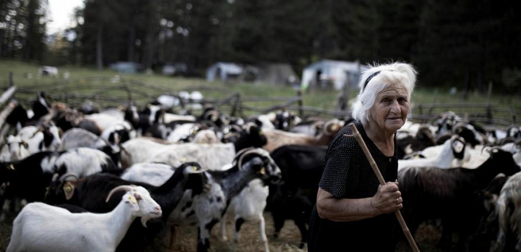 Ένας Θεσσαλονικιός φωτορεπόρτερ στο &quot;διάβα&quot; των τελευταίων Ελλήνων νομάδων κτηνοτρόφων (φωτ.)