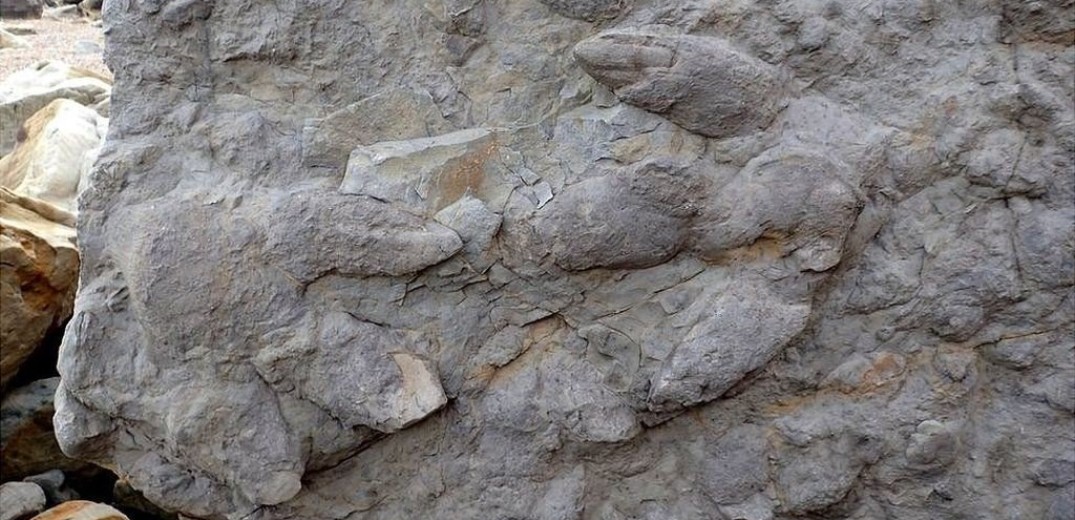 Βρετανία: Ανακαλύφθηκαν 85 πατημασιές δεινοσαύρων ηλικίας τουλάχιστον 100 εκατομμυρίων ετών&#33;