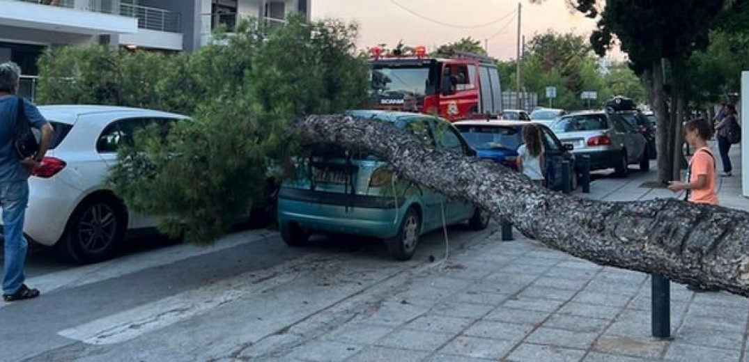 Θεσσαλονίκη: Δέντρο καταπλάκωσε αυτοκίνητο στη Ν. Ελβετία 