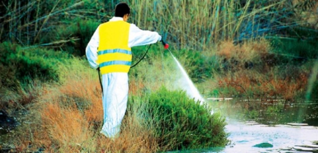 Επίγειοι ψεκασμοί για τα κουνούπια στο Δήμο Λαγκαδά και την επόμενη εβδομάδα