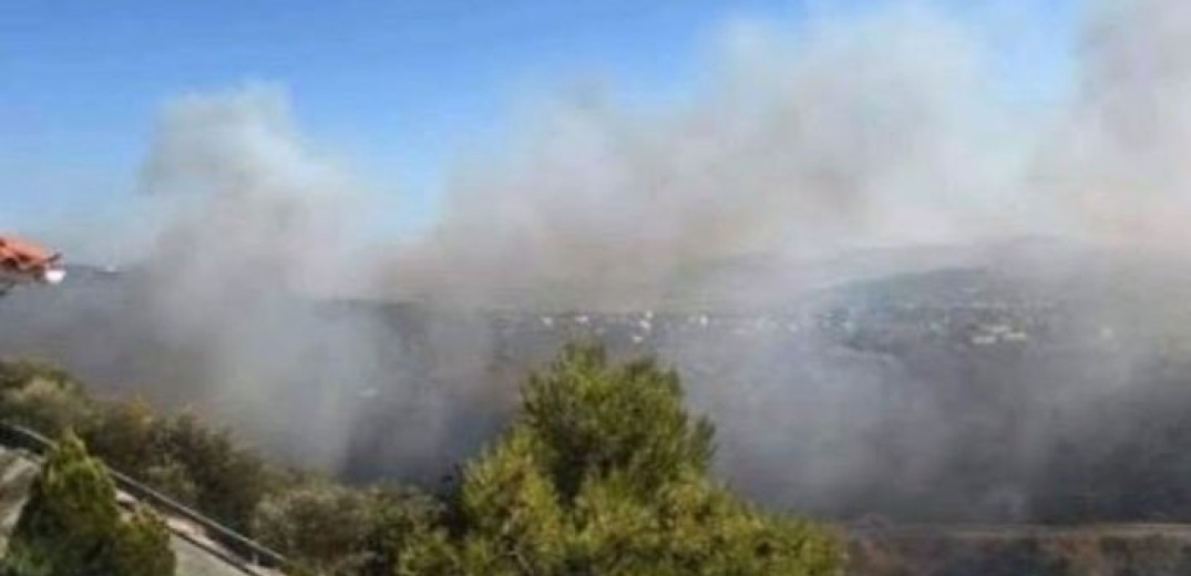 Χαλκιδική: Πρόστιμα για δύο πυρκαγιές σε ξερά χόρτα