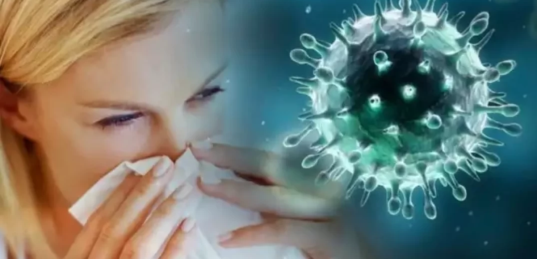 Παγώνη: Η έξαρση της γρίπης θα έρθει μετά τις 25-30 Δεκέμβρη (βίντεο)