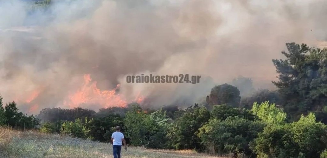 Οριοθετήθηκε η πυρκαγιά στο Ωραιόκαστρο (βίντεο & φωτ.)
