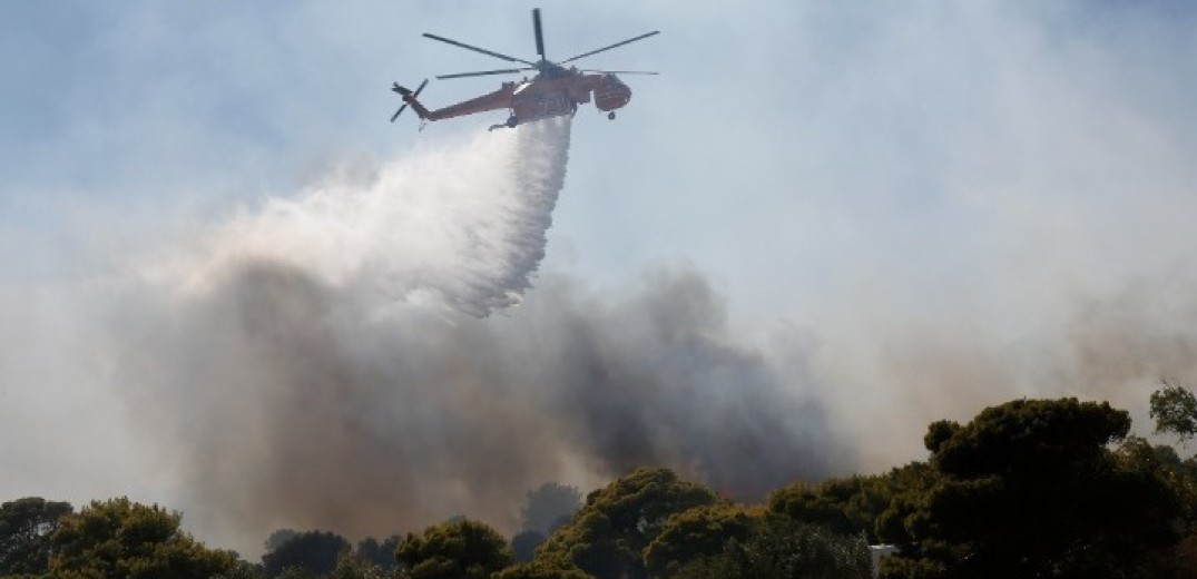 Η πυρκαγιά του Αυγούστου στη Θάσο έκαψε 2.770 στρέμματα