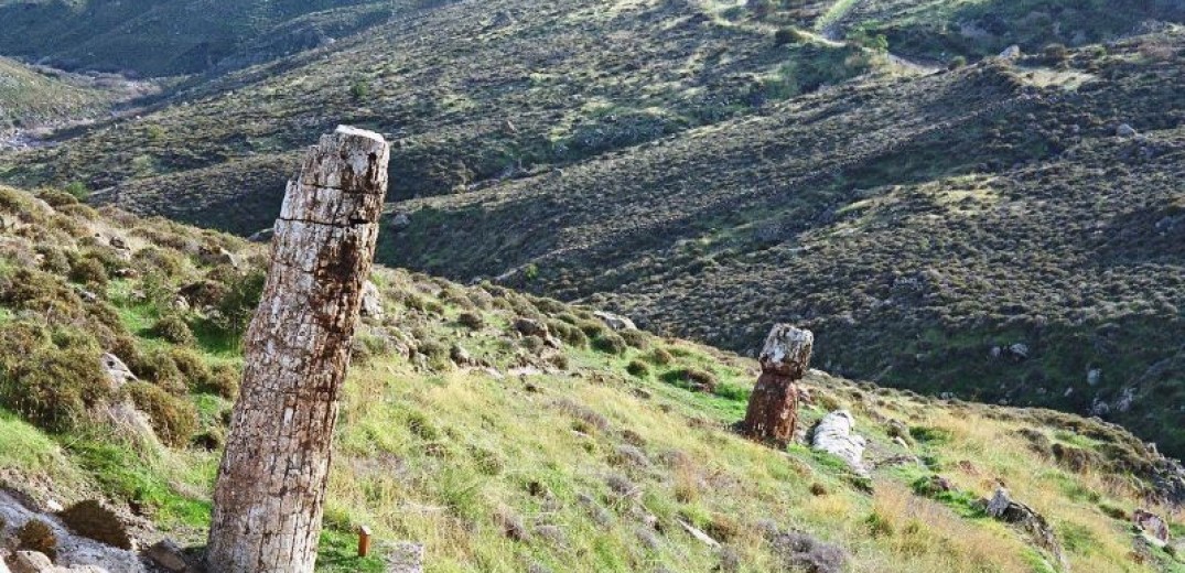 Στα πρώτα 100 μνημεία παγκόσμιας Γεωλογικής Κληρονομιάς το απολιθωμένο δάσος της Λέσβου και η καλδέρα της Σαντορίνης