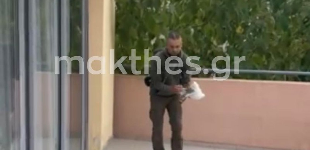 Θεσσαλονίκη: Γλάρος και φίδι... εγκλωβίστηκαν σε νηπιαγωγεία (βίντεο) 