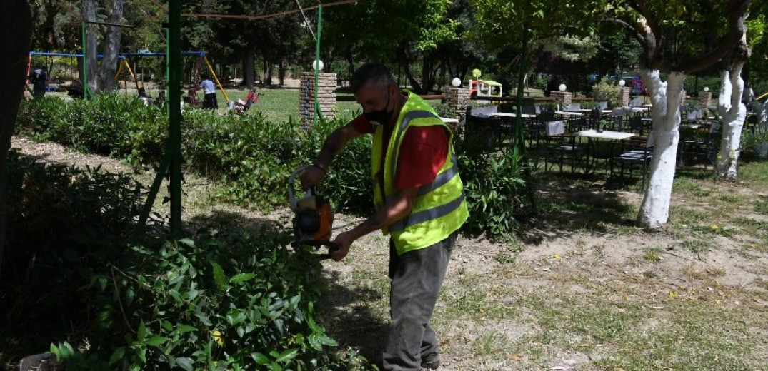 Θεσσαλονίκη: Οι δήμοι κόβουν δέντρα και οι πολίτες στήνουν… καρτέρι για να πάρουν τσάμπα ξύλα για το τζάκι