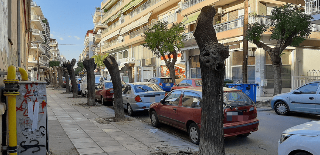 «Μίνι» αναβολή στις μαζικές κοπές δέντρων στη Θεσσαλονίκη - Προσφεύγει στην εισαγγελία η αντιπολίτευση (φωτ.)