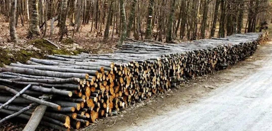 Δήμος Βόλβης: Διάθεση ξύλων σε ευάλωτους πολίτες - Οι δικαιούχοι 