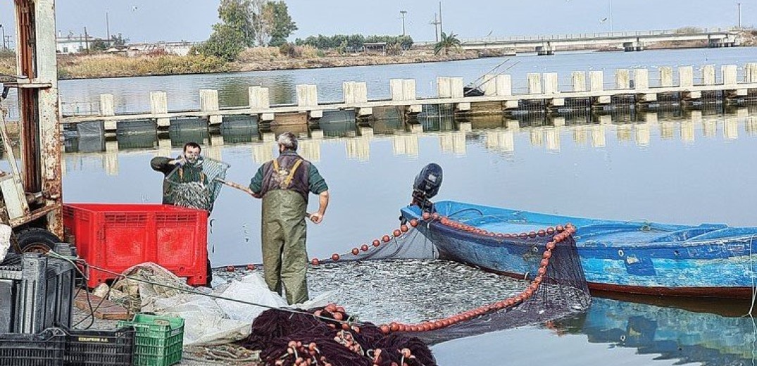 Ροδόπη: Δύσκολοι καιροί για τους αλιείς της λιμνοθάλασσας της Βιστωνίδας