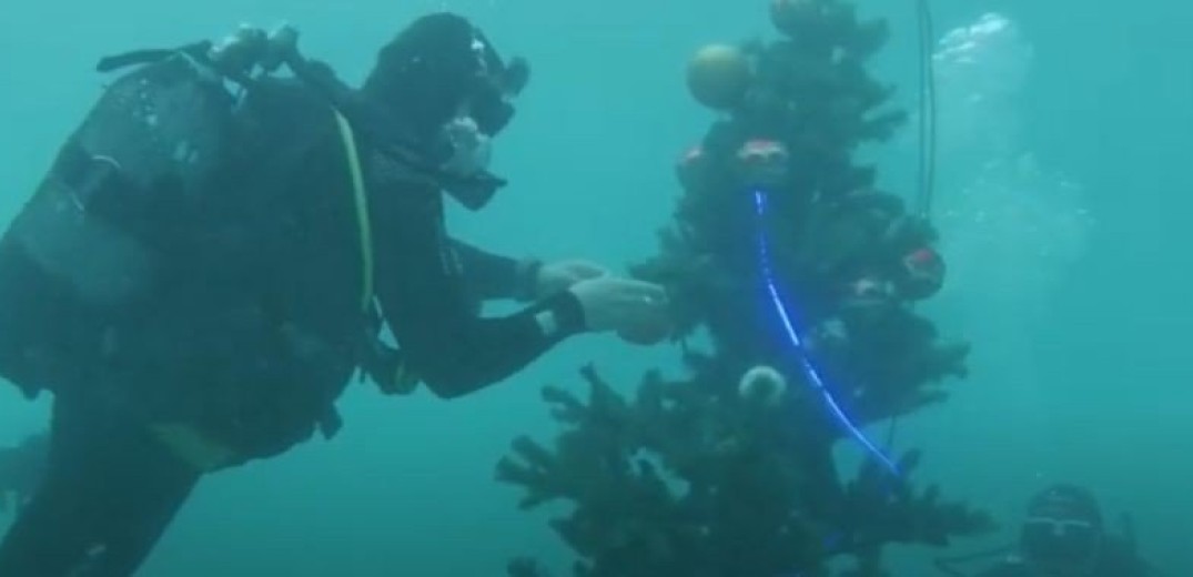 Στην Αλόννησο στόλισαν χριστουγεννιάτικο ΄δέντρο στο... βυθό  (βίντεο)