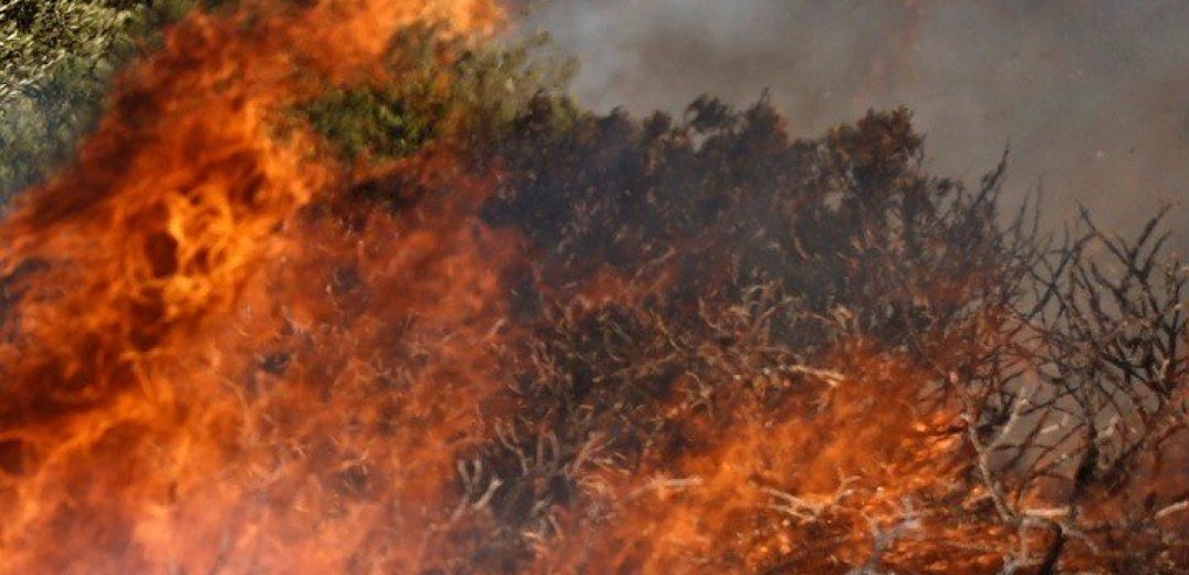 Χιλή; Τέσσερις νεκροί και μεγάλες καταστροφές από τις δασικές πυρκαγιές