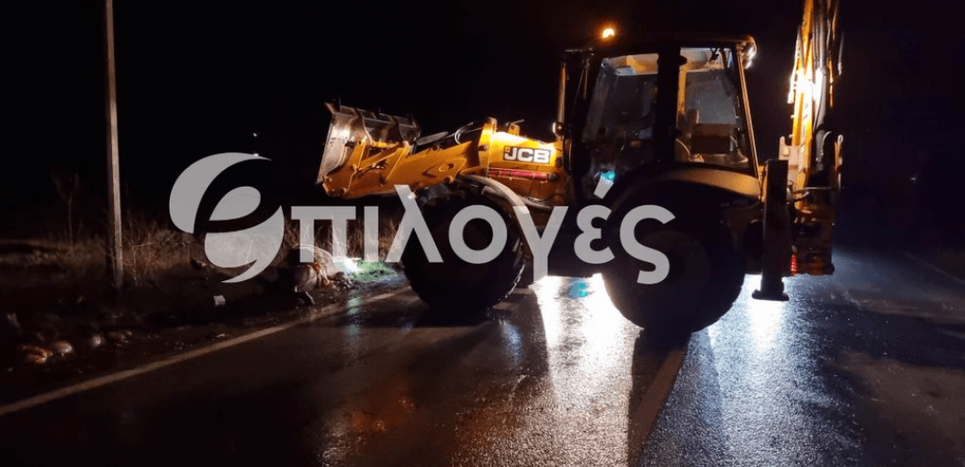 Σέρρες: Αυτοκίνητο έπεσε πάνω σε άλογο και το σκότωσε