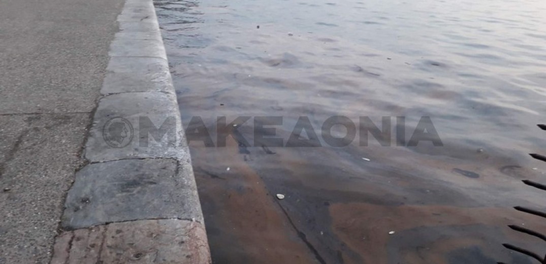 Θεσσαλονίκη: Επανεμφανίστηκε το φαινόμενο της «ερυθράς παλίρροιας» στο Θερμαϊκό  