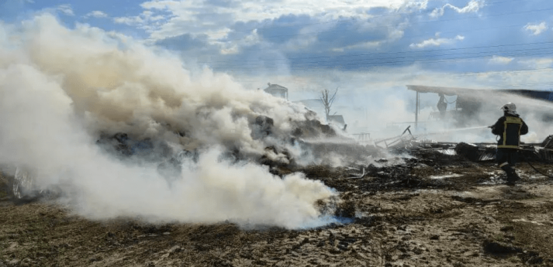 Κοζάνη: Ξέσπασε πυρκαγιά στα Πετρανά (βίντεο & φωτ.)