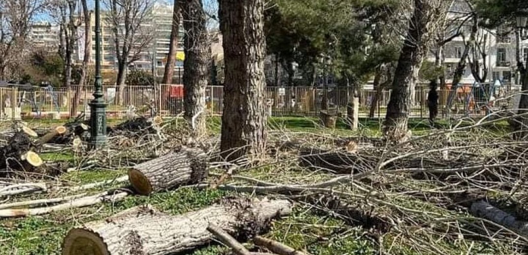 Προσφυγές Βούγια και Κουράκη κατά του δήμου Θεσσαλονίκης για τις κοπές δέντρων 