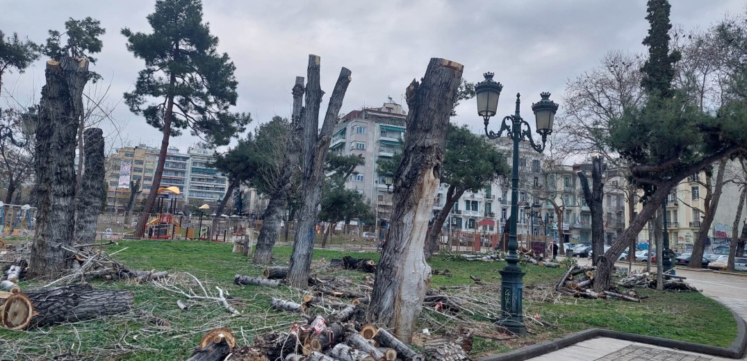 Θεσσαλονίκη: Νέα διαμαρτυρία ενάντια στην κοπή δέντρων