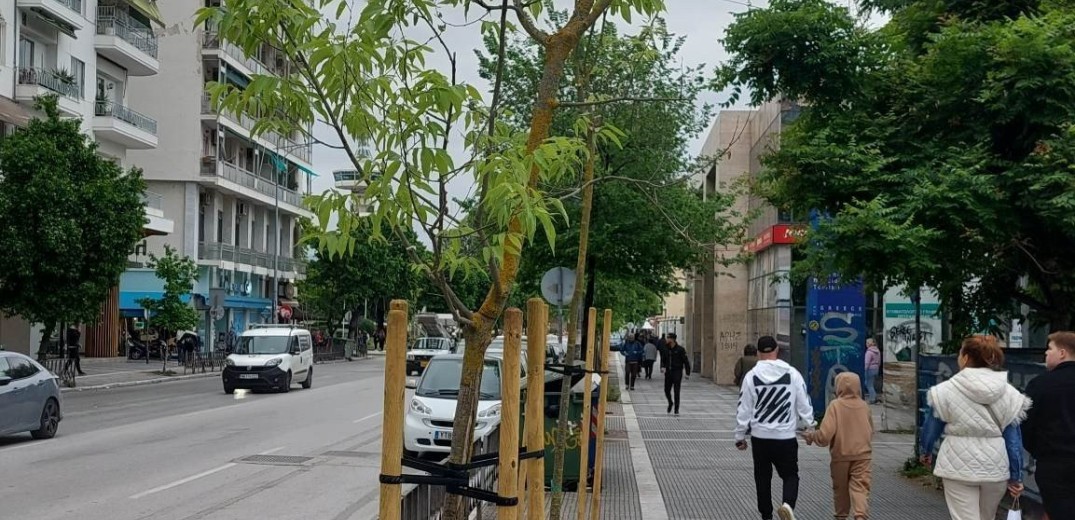 Θεσσαλονίκη: Εκατοντάδες νέα δέντρα δίνουν ανάσα στην Τσιμισκή 