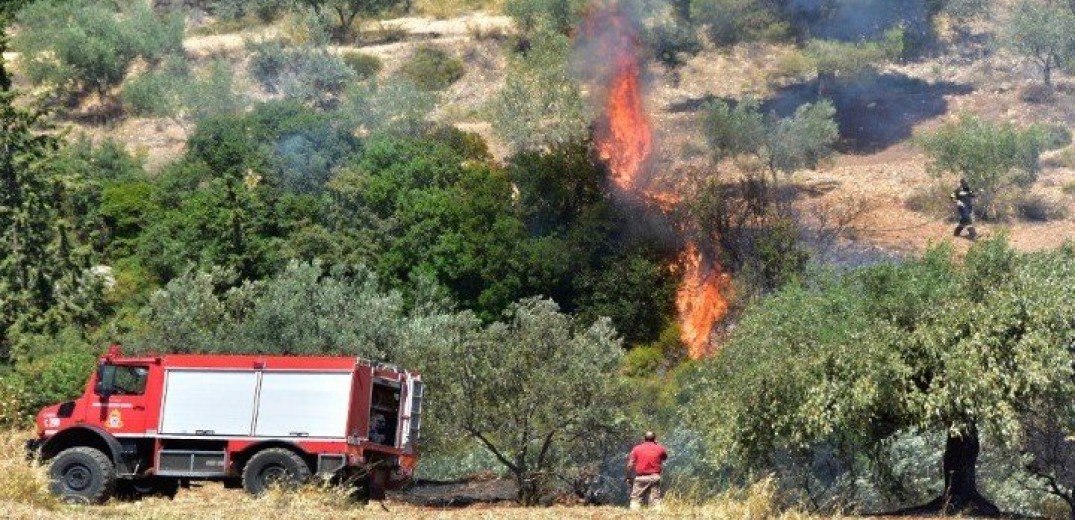 Φωτιά σε δάσος στην Πάργα