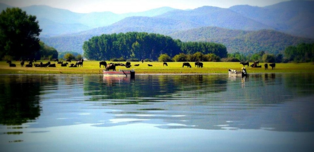 Λίμνη Κερκίνη: νέες νησίδες για να βρουν… καταφύγιο οι πελεκάνοι 