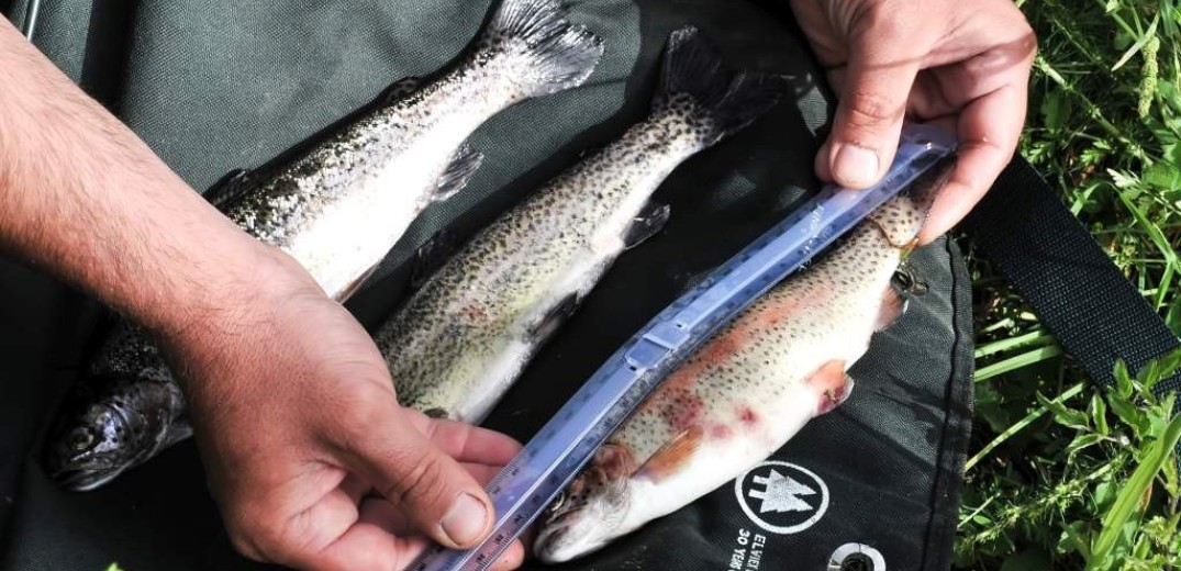 Απαγόρευση ψαρέματος σε ποταμούς της ΠΚΜ