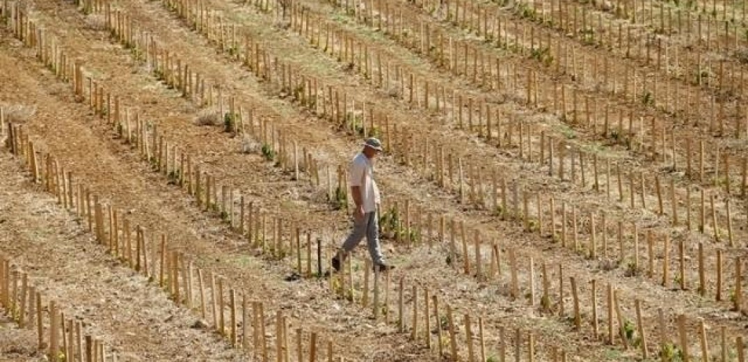 Το ένα τρίτο των εδαφών της Ελλάδας υπόκειται σε υψηλό δυνητικό κίνδυνο ερημοποίησης