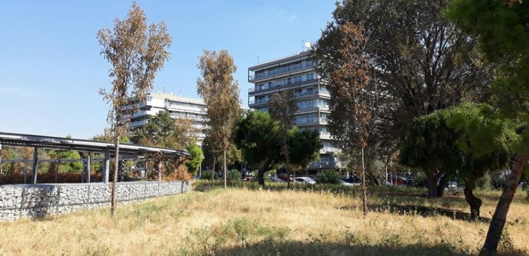  Αποκαρδιωτική η εικόνα των δέντρων και των φυτών στη νέα παραλία Θεσσαλονίκης