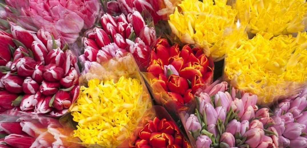 Θεσσαλονίκη: Μήνυση για το παρεμπόριο λουλουδιών στο ΑΠΘ κατέθεσαν οι ανθοπώλες