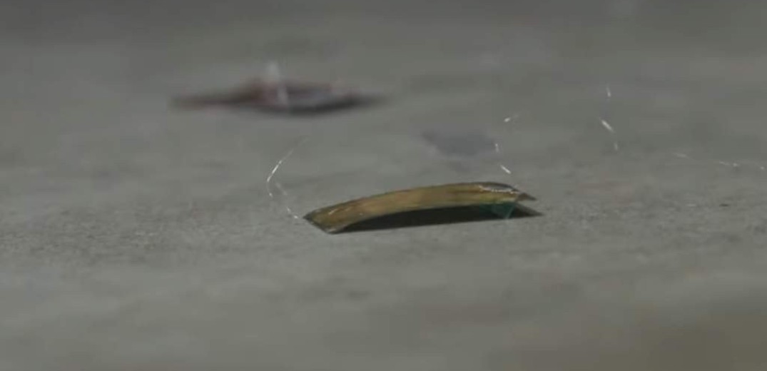 Έφτιαξαν κατσαρίδα - ρομπότ που δεν παθαίνει τίποτα ακόμη και αν την πατήσεις (Βίντεο)