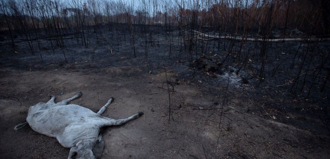 Εκατοντάδες νέες φωτιές κατατρώγουν τον Αμαζόνιο (φωτο)