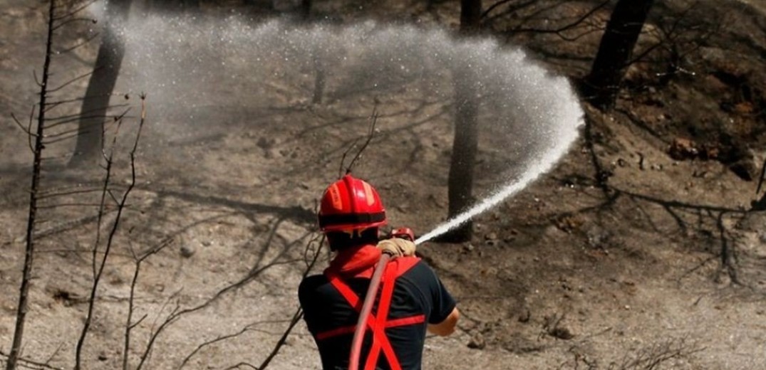 Μάχη με τις φλόγες δίνουν 1.000 γάλλοι πυροσβέστες 