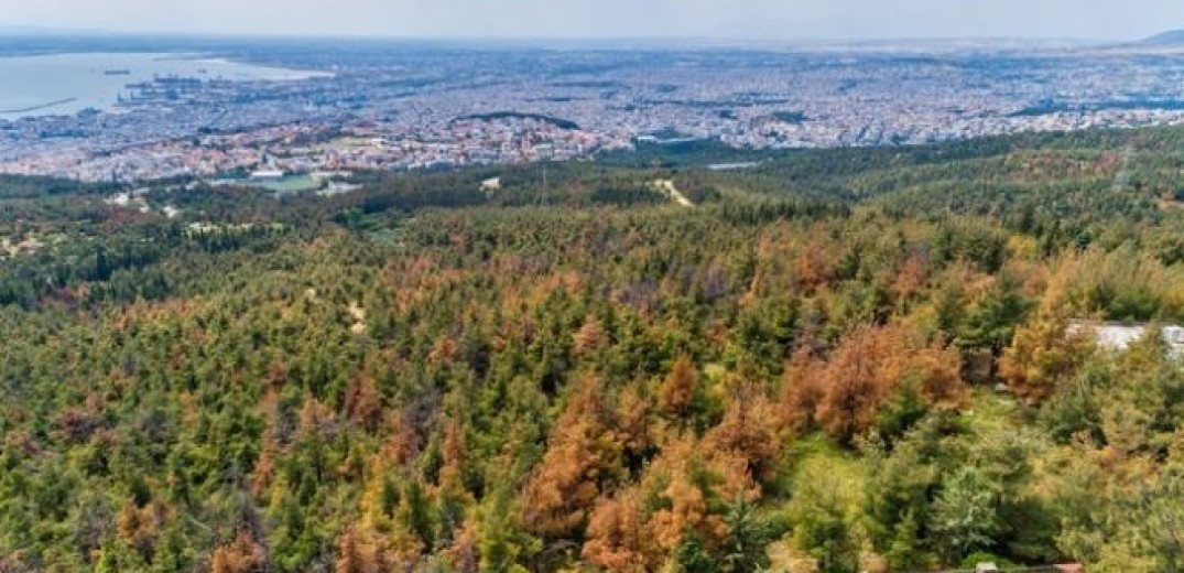 Θεσσαλονίκη: Απαγορεύεται η κυκλοφορία στο δάσος του Σέιχ Σου  