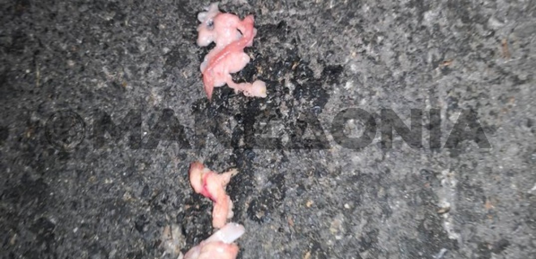  Θεσσαλονίκη: Γυναίκα οδηγός πετούσε ωμό κρέας στον δρόμο (Φωτ.) 