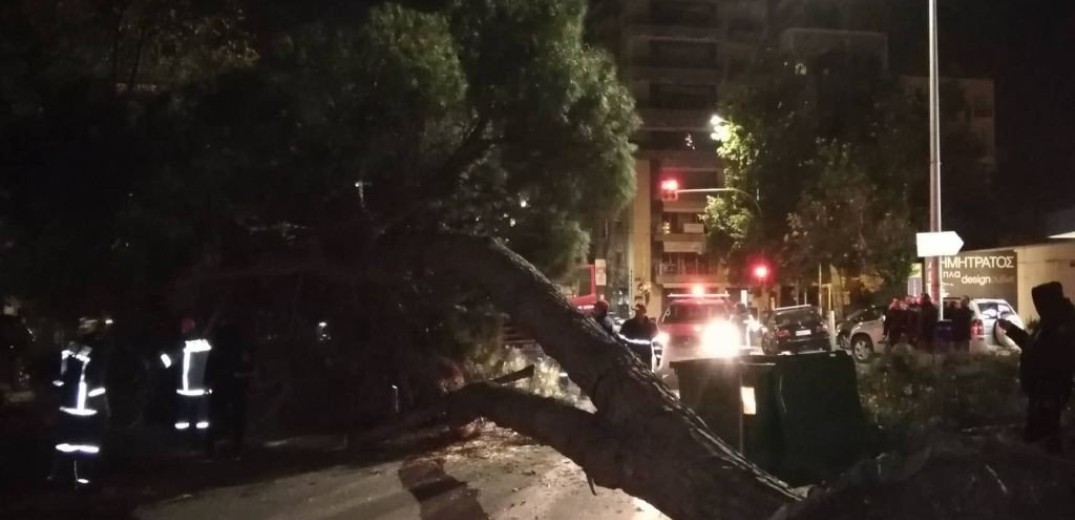 Θεσσαλονικη: Ξεριζώθηκε δέντρο στη Χαριλάου (Φωτογραφίες) 