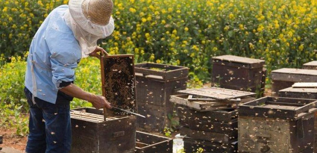 Μελισσοκόμος για μια ημέρα στον Ταξιάρχη Χαλκιδικής&#33;