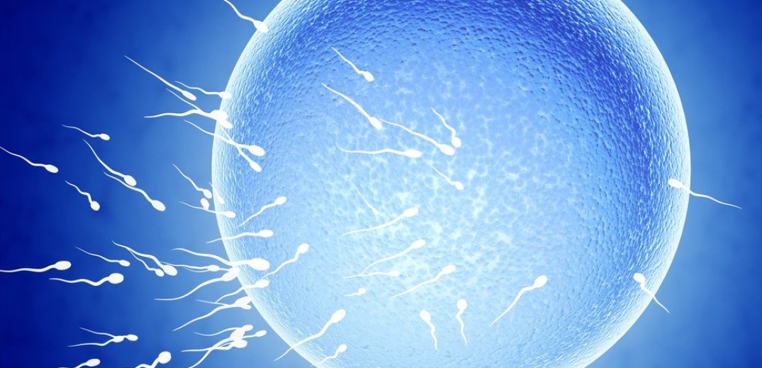 Embryolab: &quot;Κλειδί&quot; για τη γονιμότητα η ποιότητα των ωαρίων 
