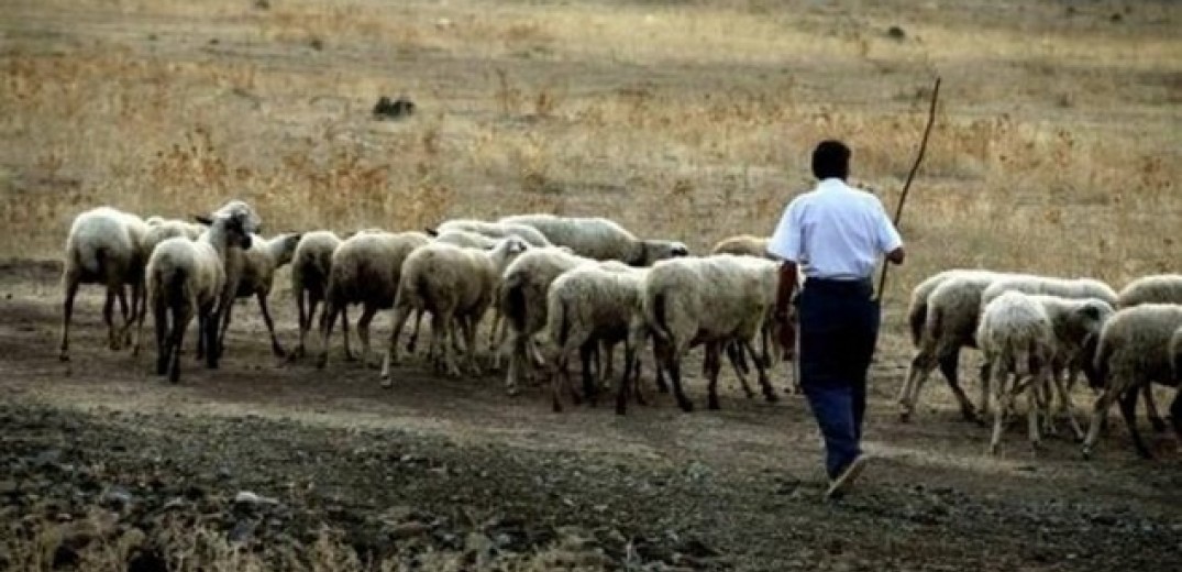 &quot;Πληγωμένοι&quot; και οι Έλληνες κτηνοτρόφοι από τον κορονοϊό