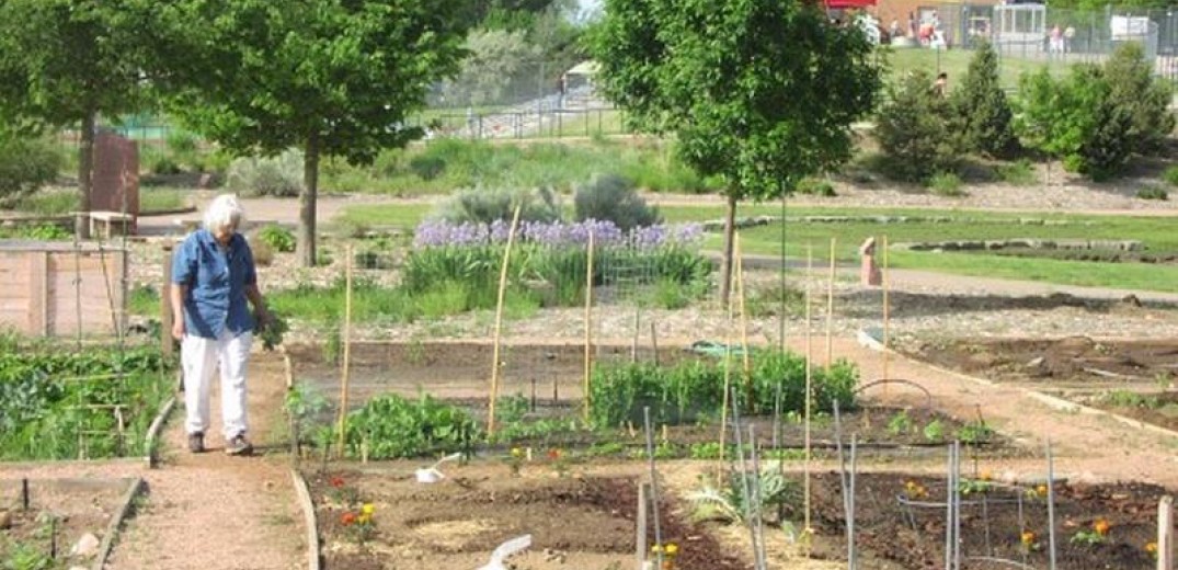 Δήμος Θέρμης: Μοιράζει εκτάσεις γης  στο «δημοτικό λαχανόκηπο»