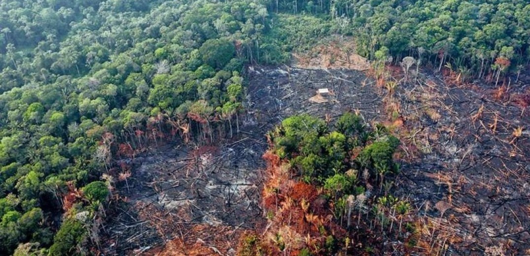 Οι «27» της Ε.Ε. αποφάσισαν να απαγορευτούν οι εισαγωγές 6 προϊόντων που συμβάλλουν στην αποψίλωση των δασών