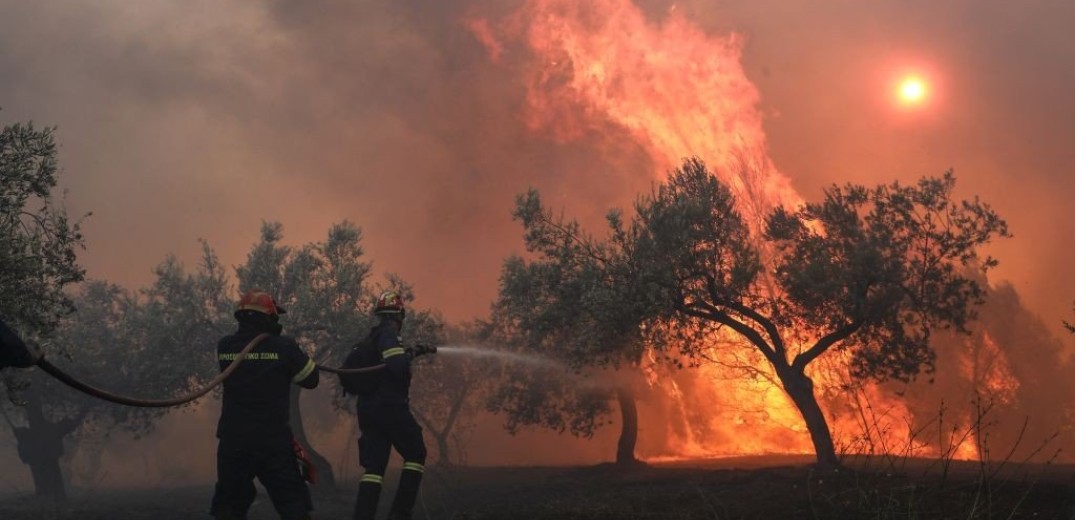 Σέρρες: Έβαλαν φωτιά να κάψουν ξερά χόρτα και έκαψαν τις εγκαταστάσεις παλιού εργοστασίου στον Προβατά (βίντεο)
